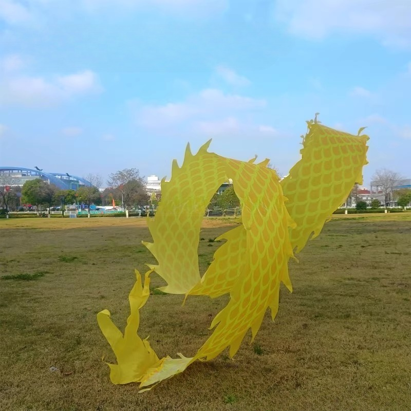 Tête de Dragon 3D de 8 mètres, - Outdoor Sport Gym avis et prix